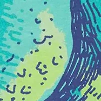 Toddler Boys Short Sleeve Dino T-Shirt and Shorts Set