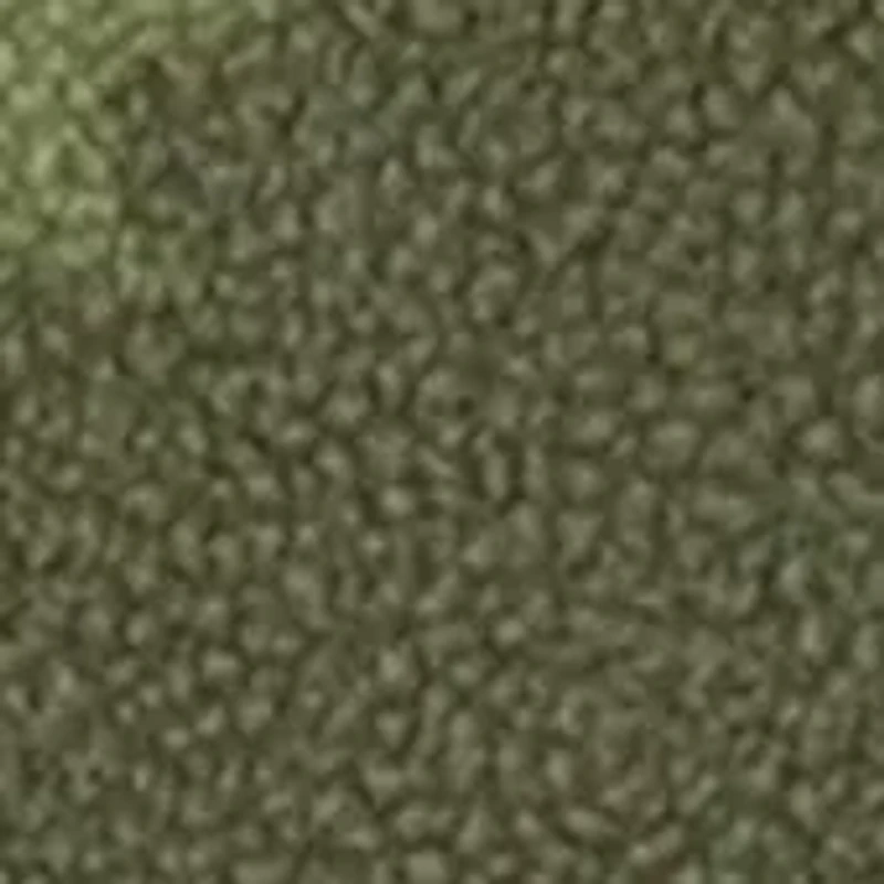 Toddler Boys Printed Fleece Hoodie and Pants Set