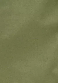 Toddler Boys Pull On Pants