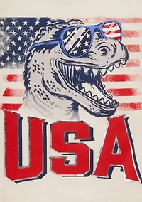 Toddler Boys Dinosaur American Flag Graphic T-Shirt
