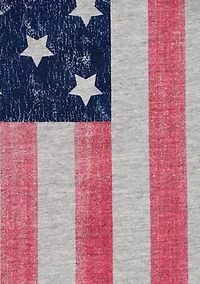 Toddler Boys Flag Printed Shirt