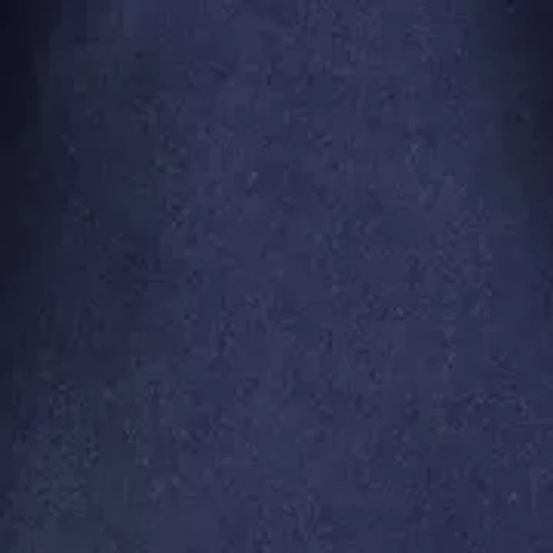 Toddler Boys Navy Joggers