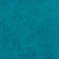 Toddler Boys Frog Pajama Pants