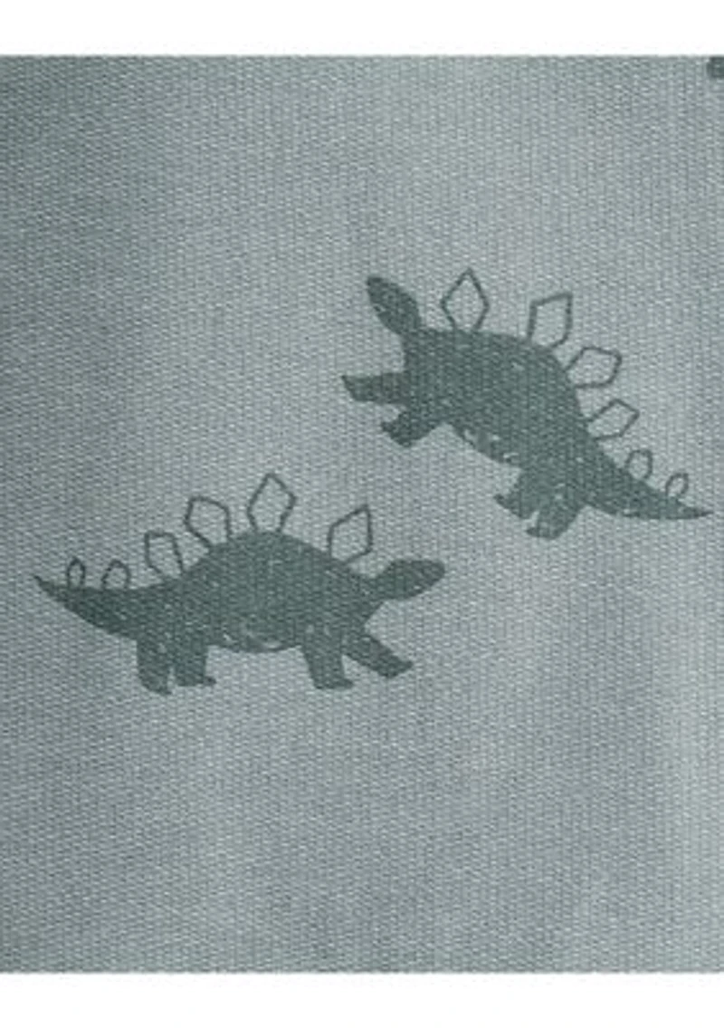 Toddler Boys Long Sleeve and Pant Set