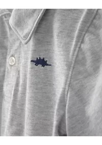 Toddler Boys Shirt and Shorts Set