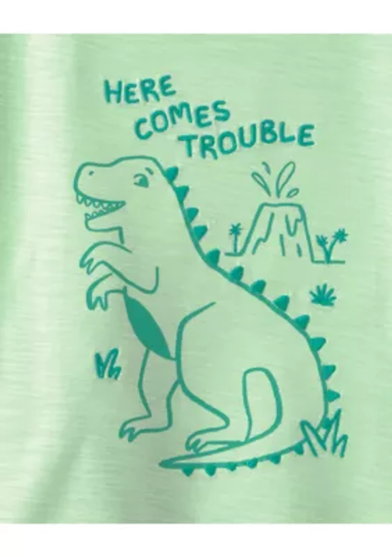 Toddler Boys Dinosaur Shirt and Shorts Set