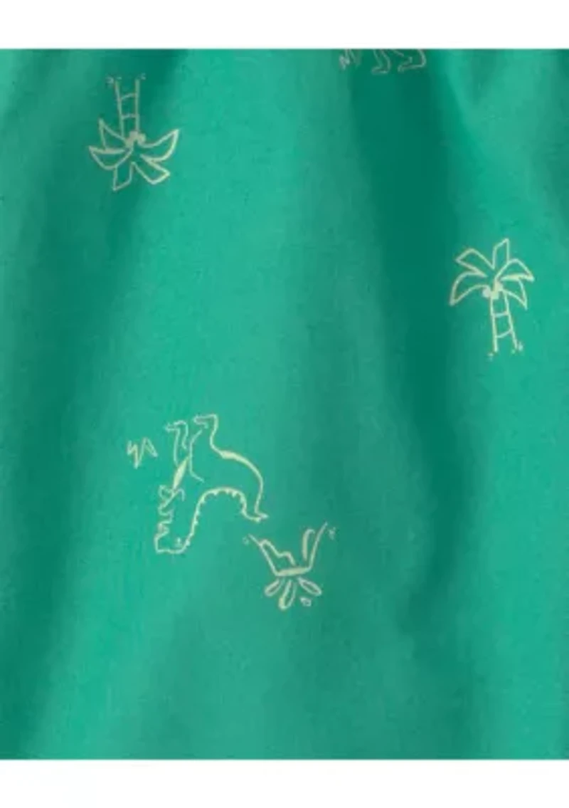Toddler Boys Dinosaur Shirt and Shorts Set