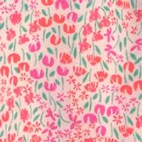 Toddler Girls Floral Shirt and Shorts Set