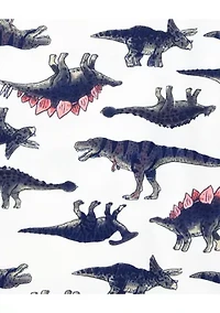 Boys 5-10 Dinosaur Printed 4 Piece Pajama Set