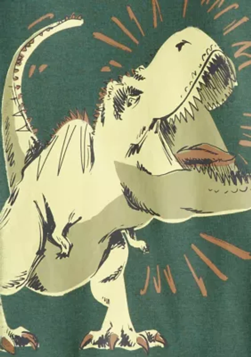 Boys 4-7 Dino Sleep Set