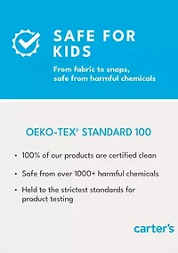 Boys 8-20 Dinosaur Printed Two Piece Pajama Set