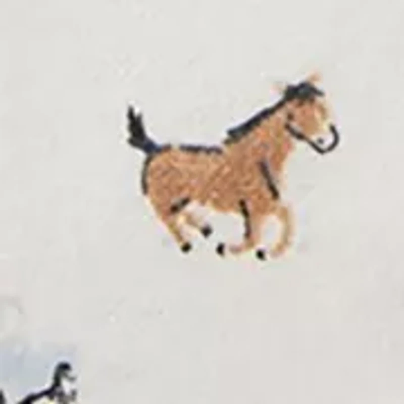 Baby Boys Blankets - 4 Pack