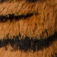 Marshmallow Tiger Toy