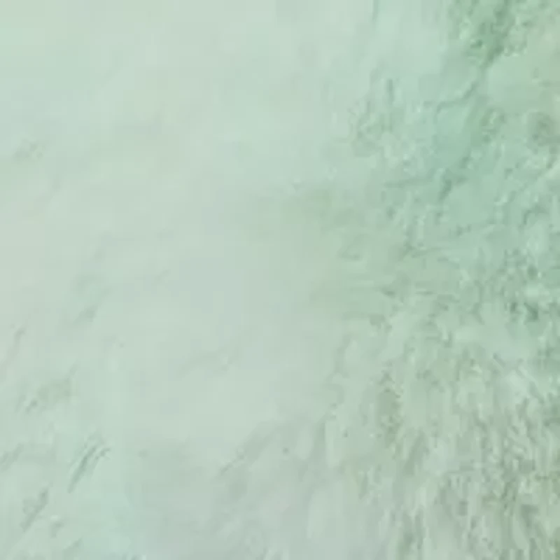 Marshmallow Jazzy Turtle Toy