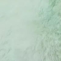 Marshmallow Jazzy Turtle Toy