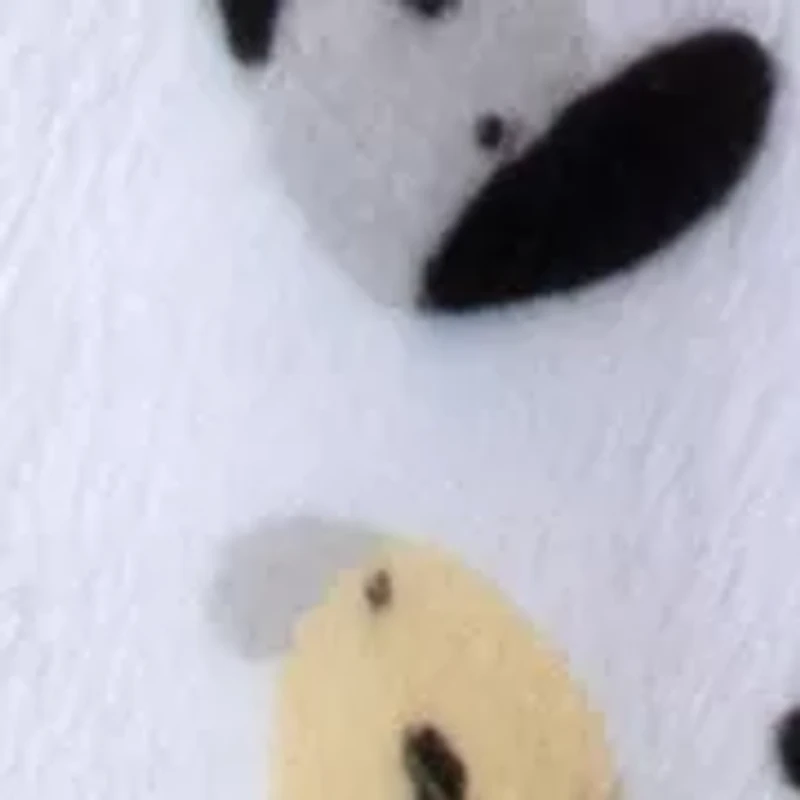 Baby Boys Puppy Dog Lovey Blanket