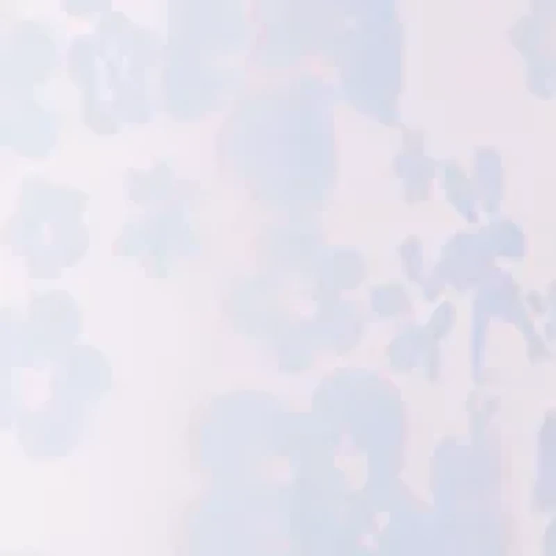 Toddler Girls Floral Printed Organza Dress