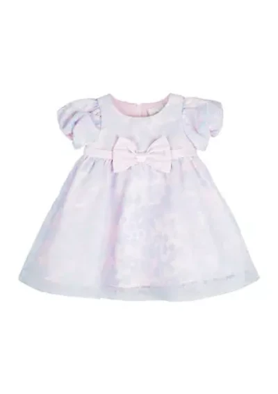 Toddler Girls Floral Printed Organza Dress