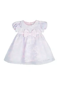 Toddler Girls Floral Printed Organza Dress