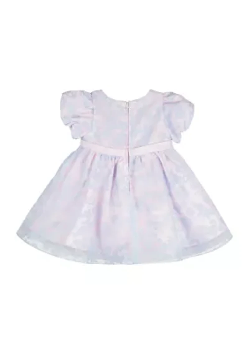 Toddler Girls Floral Printed Organza Dress