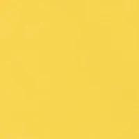 Toddler Girls Daisy Skort Set