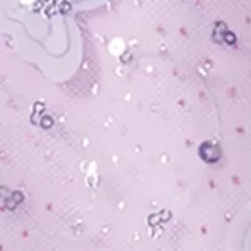 Toddler Girls Butterfly Dress