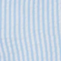 Toddler Girls Seersucker Dress