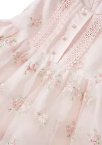 Toddler Girls Floral Embroidery Dress