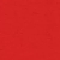 Toddler Girls Floral Applique Skort Set