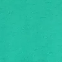 Baby Girls Ruffle Printed Legging Set