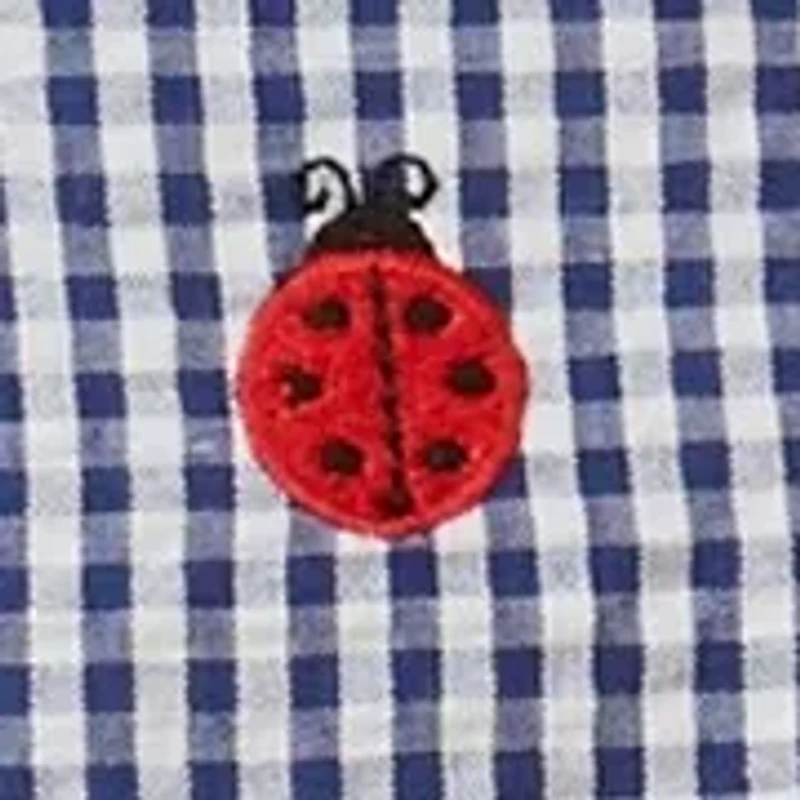 Baby Girls Seersucker Ladybug Embroidered Top and Leggings Set