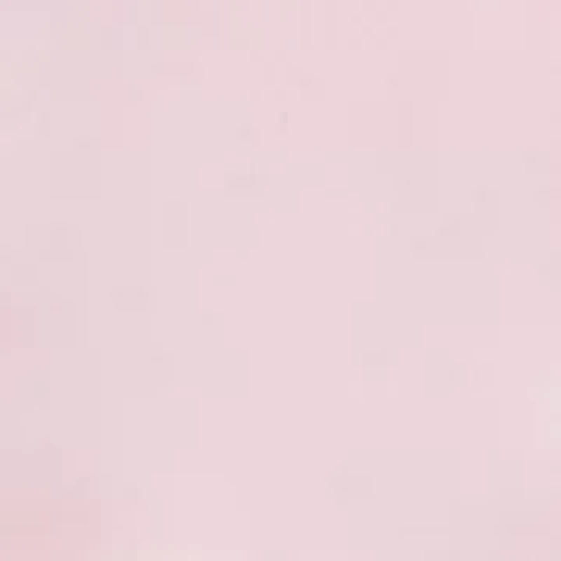 Baby Girls Floral Soutache Dress