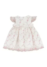 Baby Girls Flower Vine Embroidered Dress