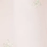 Baby Girls Embroidered Dress