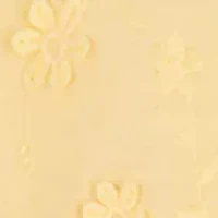 Baby Girls Embroidered Dress