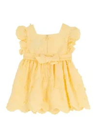 Baby Girls Embroidered Dress
