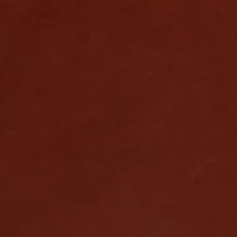 Baby Girls Pumpkin Appliqué Top and Printed Pants Set