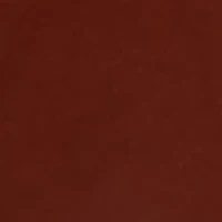 Baby Girls Pumpkin Appliqué Top and Printed Pants Set