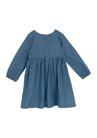 Toddler Girls Embroidered Chambray Dress