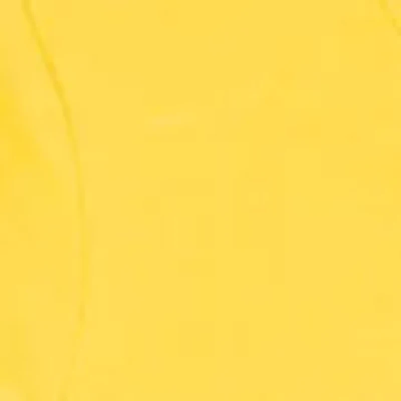 Toddler Girls Lemon Print Shirts and Shorts Set