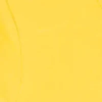 Toddler Girls Lemon Print Shirts and Shorts Set