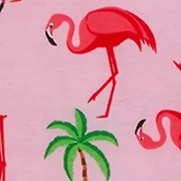 Baby Girls Flamingo Top with Shorts Set