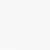 Baby NCAA Auburn Tigers Bodysuit