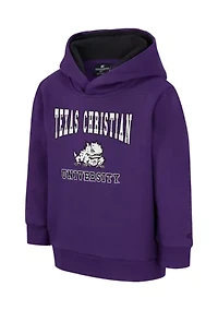 Toddler Boys NCAA TCU Horned Frogs Graphic Hoodie