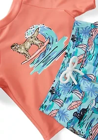 Baby Boys Short Sleeve Rash Guard Set