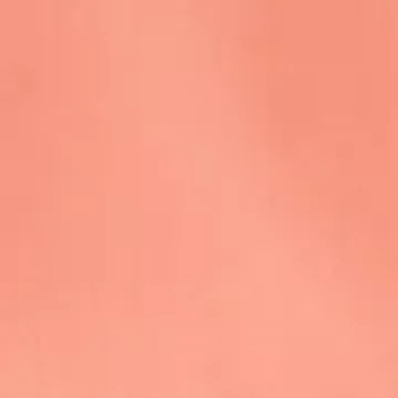 Toddler Boys Short Sleeve Rash Guard Set