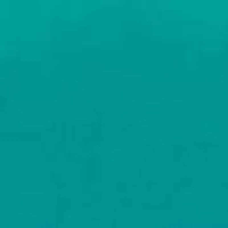 Toddler Girls One Piece Flutter Swimsuit