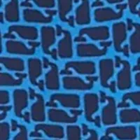 Baby Boys Printed Chappy Swim Trunks