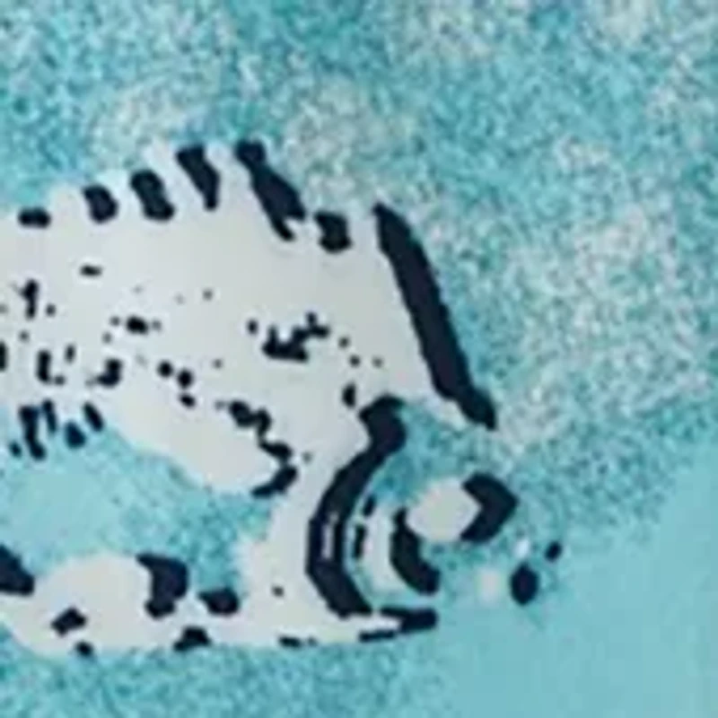 Baby Boys Camp Shirt and Shorts Set