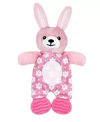 2 Piece Infant Toy Baby Gift Set
